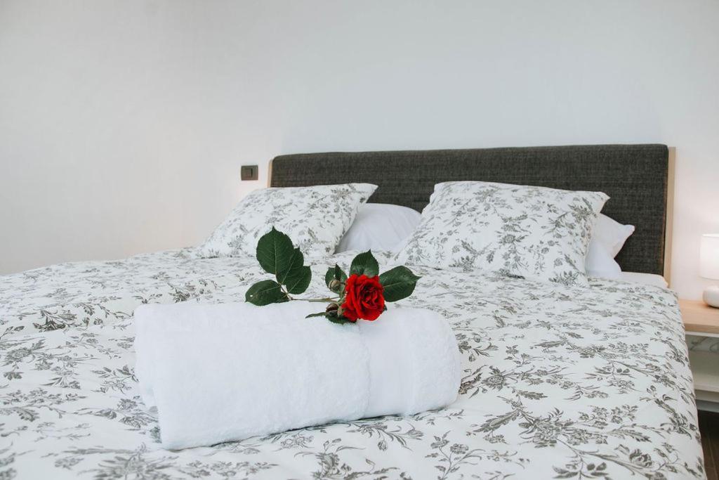 Apartmaji Ursic كوباريد المظهر الخارجي الصورة