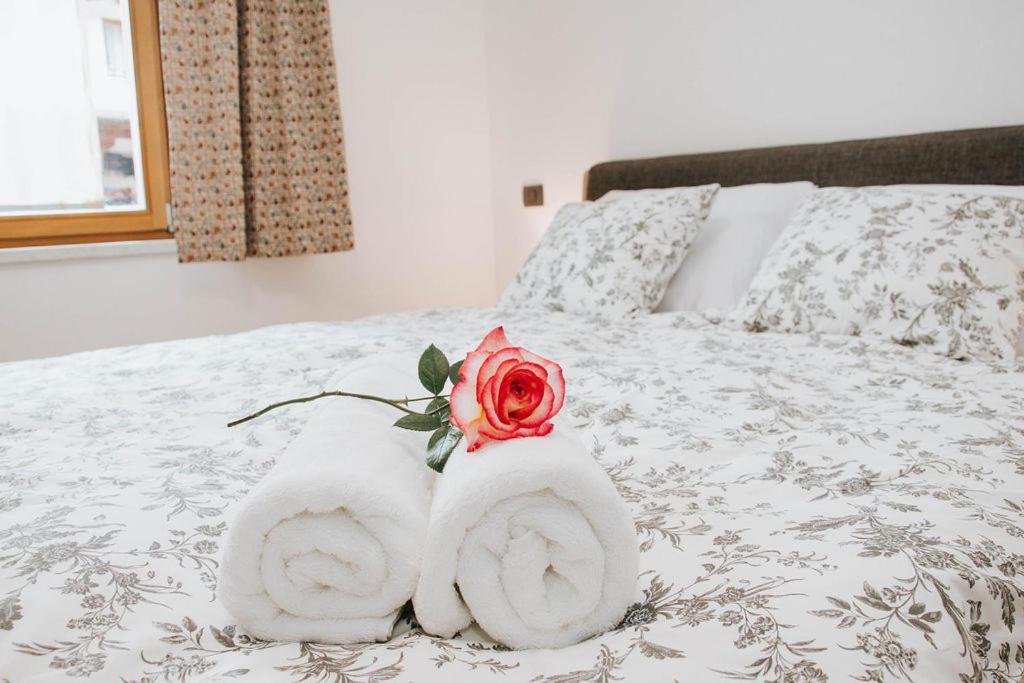 Apartmaji Ursic كوباريد المظهر الخارجي الصورة